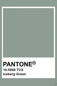 the pantone gray color is shown in this image