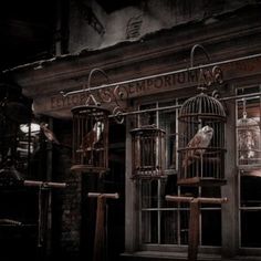 two birds in cages sitting on the outside of a building at night with light coming through