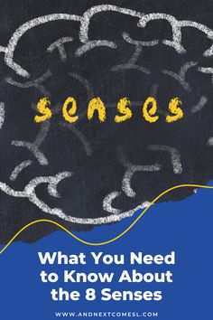 Did you know that we actually have 8 senses, not five? Click to learn more about the 8 senses and get an answer to the question: what are the 8 sensory systems? 8 Sense, Sensory System, Special Education Resources, The Question, The 8, Special Education, Educational Resources, Did You Know