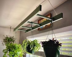 two plants are hanging from the ceiling in front of a window with blinds on it