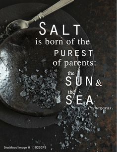 salt is born of the purest of parents the sun and sea