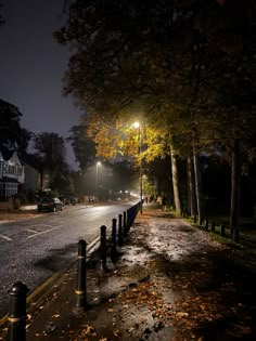 an empty street at night with the lights on and fallen leaves covering the ground next to it