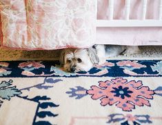 a small dog laying under a bed on top of a blue and pink rug next to a white crib