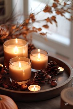 candles are arranged on a tray with pine cones