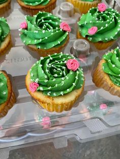 cupcakes decorated with green frosting and pink flowers on a clear plastic tray