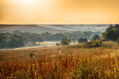 the sun shines brightly over an open field with tall grass and trees in the distance