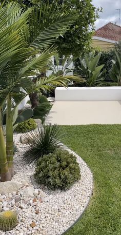 an outdoor area with grass, rocks and palm trees