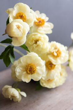 a bunch of white flowers sitting on top of a table