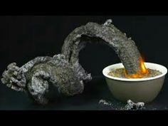 a bowl with fire in it next to a tree branch