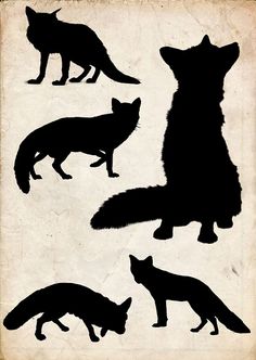 the silhouettes of different types of animals are shown