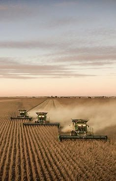 four green tractors are driving in the middle of a wheat field with dust pouring from them