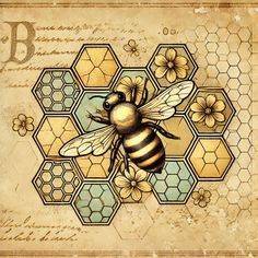 a drawing of a bee with honeycombs and flowers