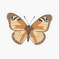 a brown butterfly with eyes sticker