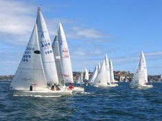 several sailboats sailing in the ocean on a sunny day