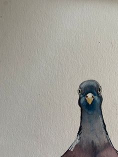 a painting of a pigeon on a white wall