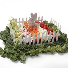 a vegetable tray with carrots, lettuce and other vegetables