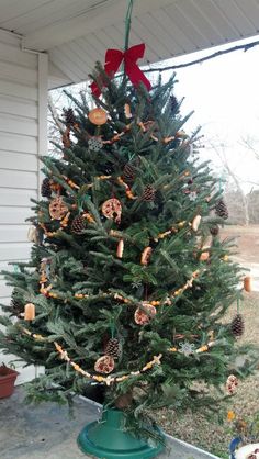 a small christmas tree with ornaments on it