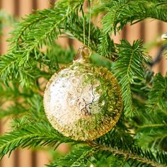 a christmas ornament hanging from a pine tree