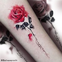 two red roses with black leaves on their arms, one is watercolor and the other is inked