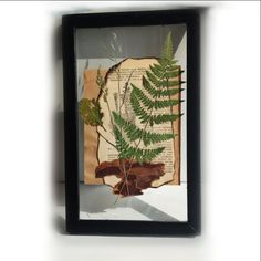 a piece of paper that has some plants on it and is in a black frame