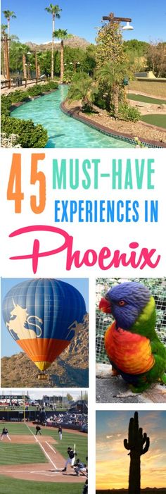 the words must have experiences in phoenix, arizona with images of hot air balloons and palm trees