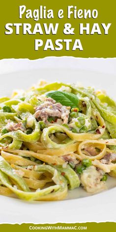 pasta with pesto sauce and chicken in a white bowl on a green background text reads paglia e fifoo, straw & hay pasta