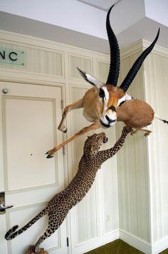 two stuffed animals hanging from the ceiling next to each other in front of a door