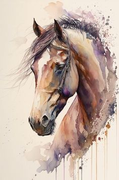 a watercolor painting of a horse's head