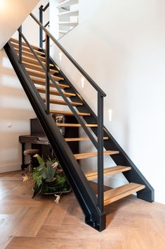 a wooden stair case next to a plant on a hard wood floor