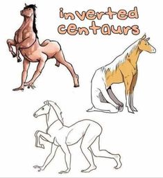 three different types of horses with the words centaurs invertidios on them