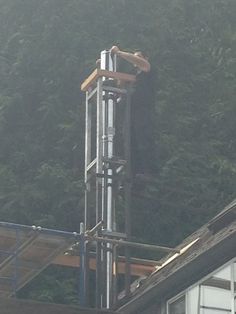 a tall metal tower sitting on top of a building next to a lush green forest