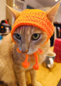 a cat wearing an orange knitted hat on top of a wooden table in a room