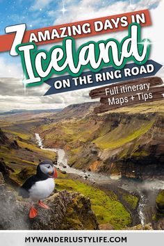 a bird sitting on top of a mountain next to a river with the title amazing days in iceland on the ring road