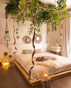 a bed with plants hanging from it's sides and lights on the floor next to it