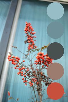 a vase with some red flowers and circles on the top of it in front of a blue wall