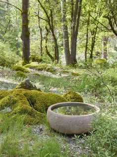 a bowl sitting on the ground in front of some moss covered rocks and trees,