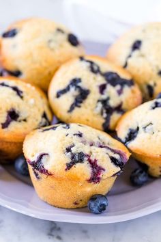 blueberry muffins on a plate with fresh blueberries