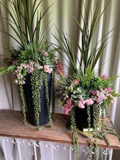 three potted plants sitting on top of a wooden table