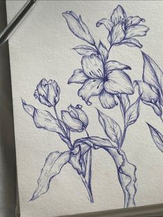 a drawing of some flowers on a piece of paper