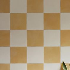 a potted plant sitting on top of a wooden table next to a tiled wall