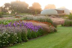 a garden with purple flowers in the foreground and an oval building in the background