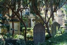 a cemetery with many headstones and trees