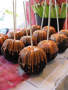 there are chocolate covered cake pops on the table