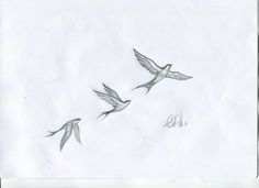 two birds flying in the air with one bird on its tail and another bird on its back