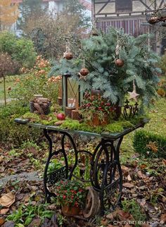 a small table with plants on it in the middle of some leaves and flowers around it