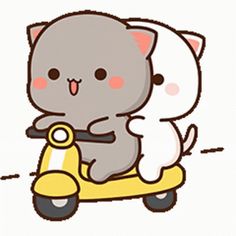 a cat riding on the back of a scooter