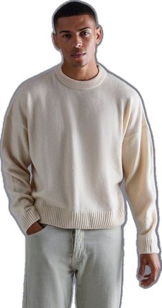 Beige Crew Neck Soft Knit Sweater, Beige Soft Knit Crew Neck Sweater, Beige Crew Neck Winter Sweatshirt, Knitted Relaxed Fit Winter Sweater, Crew Neck Textured Knit Sweater For Streetwear, Beige Crew Neck Sweatshirt For Winter, Beige Crew Sweatshirt For Winter, Relaxed Fit Knitted Sweater For Winter, Casual Cotton Knitted Sweatshirt