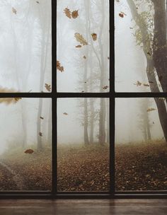 an open window with leaves on the ground and fog in the air, looking out onto a wooded area