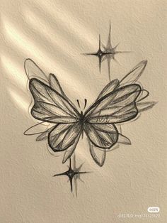 a pencil drawing of a butterfly with wings spread out and two stars on the side