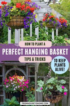 hanging baskets with flowers and plants in them